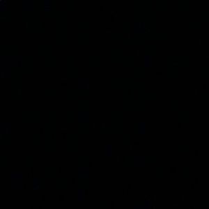 Meet your Posher, Jake